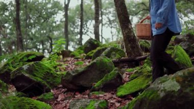 Hasır sepetli bir dişi ormanda kayaların arasında yürürken yaban mantarı arıyor.