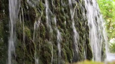 Bitki örtüsünün üzerinde akan su püskürtülerinin yan görüntüsü