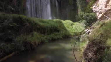 Güneşli bir günde ağaçların altındaki şelaleden