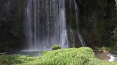 Güneşli bir günde ağaçların altındaki şelaleden