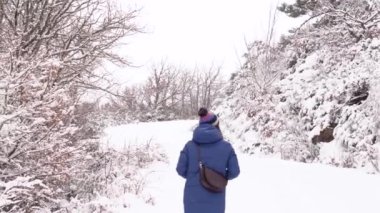 Kış günü, kar ormanlarında, yolda yürürken, kalın giysili, tanınmayan kadın gezginin arka görüntüsü.