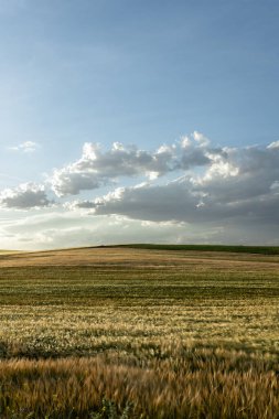 Mavi gökyüzünün altında güneşli bir sonbahar gününde kırsalda kabarık bulutlu otlakların manzarası.