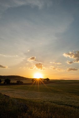 Tüylü bulutların altında yemyeşil ağaçlar ve gece güneşli yaz otlaklarının manzarası.