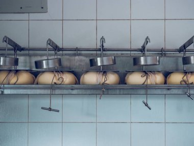 Halatlarla bağlanmış Mahon-Menorca peynirleri, paslanmaz çelik tavaları ve fayanslı duvarları olan bir peynir fabrikasında yaşlanıyor, geleneksel peynir yapma alışkanlıklarını yansıtıyor.