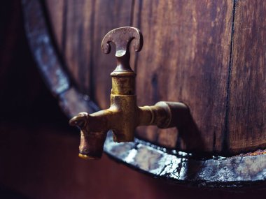 Geleneksel Mallorcan Palo, 19. yüzyılın ortalarından beri Mallorca 'da üretilen karakteristik bir aroması olan koyu, yoğun bir likör. Karamelli şekerle zenginleştirilmiş, Cinchona ve Gentian 'ın hidroterizasyon yoluyla üretildi.