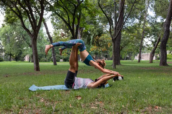 Spor giyimli esnek bir çiftin yan görüntüsü. Akroyoga yapıyorlar. Yoga minderinde, çimenlerde, parktaki ağaçlara karşı.