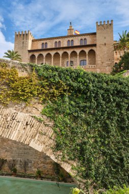 Almudaina Sarayı 'nın altından canlı, mavi bir gökyüzüne karşı, yemyeşil bir sarmaşıkla örtülü. İspanya bayrağı gururla Mallorca 'daki tarihi mimarinin üzerinde sergilendi