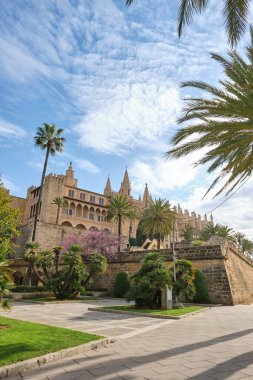 La Catedral de Mallorca 'nın manzarası. Tarihi Palacio Real de La Almudaina' nın yanında. Mavi gökyüzünün arka planına kurulmuş ve canlı yeşillik ve palmiyelerle çerçevelenmiş.