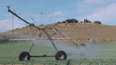 Merkezi bir pivot sulama sistemi çeşitli karpuz, soğan ve kabak tarlalarını verimli bir şekilde suluyor. Basınç artırıcı temiz mavi gökyüzü altında dengeli bir su dağılımı sağlıyor.