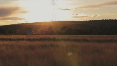 Göz kamaştırıcı bir günbatımı, uzak bir yapı ve tepelerle dolu engin bir buğday tarlasının üzerine altın bir renk saçar. Sahne huzur ve kırsal güzelliği çağrıştırır.
