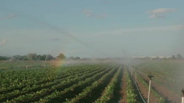 Yüksek basınçlı sulama sistemi ekilen ve gelişmiş tarım tekniklerini gösteren geniş bir tarımsal alanda çalışır.