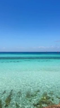 Varadero 'nun güzelliğini keşfedin. Huzurlu, berrak Karayip sularını ve canlı deniz yaşamını gösterin..