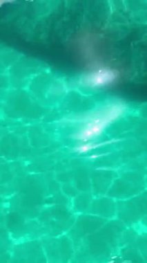 Şnorkelle dalmanın cazibesini Varadero 'nun ışıldayan, turkuaz sularında gerçek zamanlı video çekimlerinde yaşayın. Bu büyüleyici sualtı dünyasına dal.