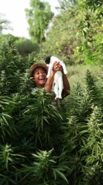 Hasır şapka takan neşeli bir kadın, etrafı yemyeşil, çiçek açan kenevir bitkileriyle çevrili bir kedi tutuyor. Bu resim, güneşli bir yaz gününde, çiçeklenme aşamasında bir kenevir mahsulünü yakalar..