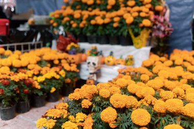 A mexican marigold flower stand in a street market stall. Concept of Dia de Muertos tradition in Mexico clipart