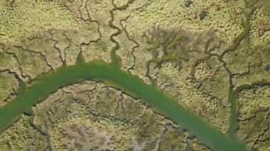 Bu hava görüntüsü bataklığın dolambaçlı su yolları ve yemyeşil doğa belgeselleri ve çevre projeleri için ideal desenlerini yakalıyor.