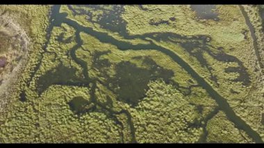 Güney bölgesindeki yemyeşil bataklıkların karmaşık şablonlarını çeken hava görüntüleri. Doğal su yolları bu sakin manzarada büyüleyici bir ağ oluşturuyor.