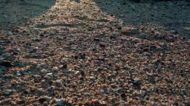 Kosta Rika 'nın Golfo de Papagayo kentindeki kumlu kumlu sahile yakın çekim, batan güneşin sıcak parıltısını yakalayan küçük çakıl taşları ve kabuklar, sakin bir atmosfer yaratıyor.