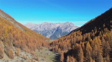 Fransız Alpleri 'ndeki Puy St. Vincent' in canlı sonbahar yapraklarını nefes kesici dağ manzaraları ve huzurlu manzaralarla görüntüleyen insansız hava aracı görüntüleri.