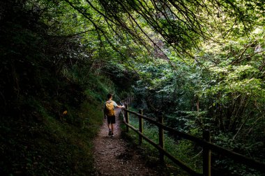 A lone hiker explores a serene green trail in Canfranc, Huesca, surrounded by dense foliage on a sunny day clipart