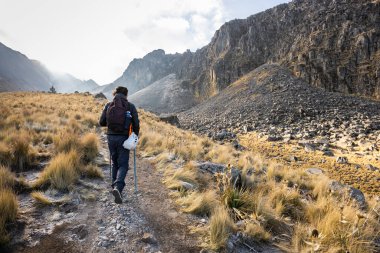 Bir dağcı yürüyüş direkleri ve bir kask ile donatılmış engebeli bir volkanik patikaya tırmanır. Parlak bir gökyüzünün altında altın çimenler ve kayalık araziyle çevrilidir..