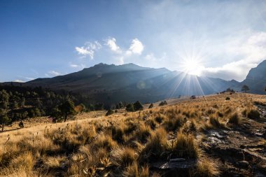 Güneş doğarken volkanik bir manzaranın nefes kesici görüntüsü, altın çimenler, dağınık ağaçlar ve yumuşak bulutlarla dolu engebeli dağ zirveleri..
