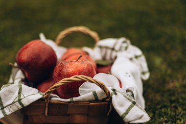 Kırsal bir sepete yerleştirilmiş sulu kırmızı elmalar kareli kumaşla kaplı, yemyeşil çimen arka planına kurulmuş..