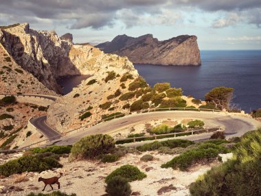 Cabo Formentor 'un engebeli uçurumlardan geçen dolambaçlı yolunun dramatik manzarası, dingin bir okyanus zeminiyle