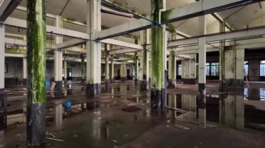 Yosun kaplı sütunları, su lekeli zeminleri ve büyük kırık camları olan ürkütücü terk edilmiş bir fabrika. Dengesiz görseller için ihmal ve endüstriyel bozulma atmosferini yakalar.
