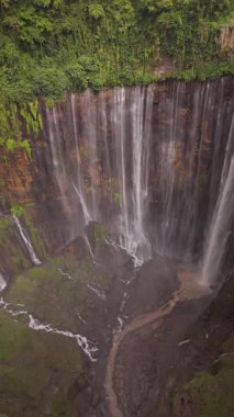 Çarpıcı insansız hava aracı görüntüsü Endonezya, Java 'nın yemyeşil kayalıklarında çağlayan görkemli bir şelaleyi yakalıyor, dingin ve hayranlık verici bir manzara yaratıyor..