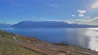 İsviçre, Lavaux 'da Cenevre Gölü ve Alpler manzaralı teraslı üzüm bağları. Güneş, sakin suları yansıtıyor. Dağlarla ekili topraklar arasındaki zıtlığı vurguluyor..