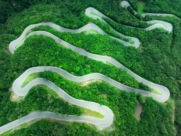 Yazın dağ kıvrımlı yolu ve yeşil ormanın havadan görünüşü. Dolomitler, İtalya. Dağ geçidindeki virajlı yol manzarası, baharda ağaçlar. Ormandan geçen yol. Karamsar, yol manzaralı