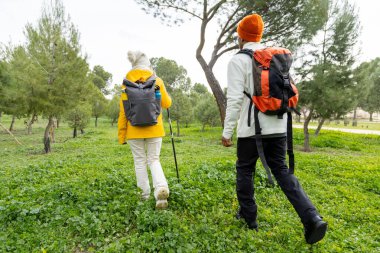 Sırt çantalı iki yürüyüşçü yeşil bir parkta yürüyor, temiz havanın tadını çıkarıyor ve birlikte egzersiz yapıyorlar.