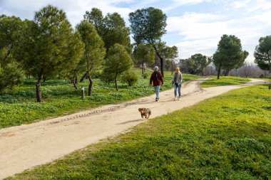 Mutlu çift güneşli bir günde köpekleriyle parkta yürüyor, temiz havanın ve doğanın tadını çıkarıyorlar.