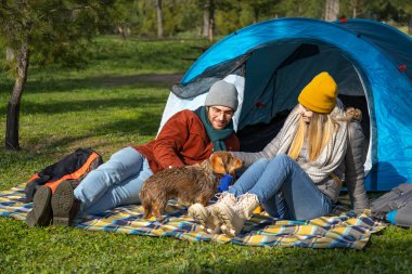 Genç bir çift, köpekleriyle güneşli bir parkta çadırlarında rahatça kamp yapıyor.