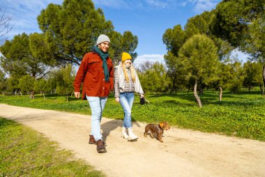 Genç çift güneşli bir kış gününün tadını çıkarırken neşeli dachshund 'larıyla yemyeşil bir parkın içinde yürüyorlar.