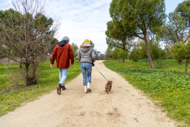Çiftler güneşli bir günde dachshund 'larıyla gezintiye çıkıp doğanın sükunetini kucaklıyorlar.
