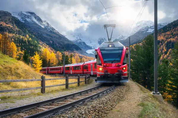 Demiryolu boyunca ilerleyen kırmızı modern elektrikli tren, karla kaplı zirveleri ve İsviçre 'deki canlı sonbahar ağaçlarıyla çarpıcı yüksek dağlardan geçiyor. Bernina Express sonbaharda. Demiryolu turizmi