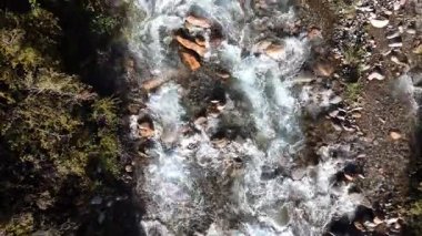 And Dağları 'nda yakalanan canlı yeşilliklerle çevrili çağlayan bir nehrin insansız hava aracı görüntüleri. Görüntü, suyun dinamik hareketini ve zengin orman arazisini gösteriyor..
