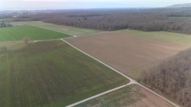 Geniş tarım arazileri ve yoğun ormanların yer aldığı, ufka doğru uzanan tarlaların yer aldığı Cenevre kırsalının manzaralı manzarası. Yumuşak doğal gün ışığında yakalandılar..