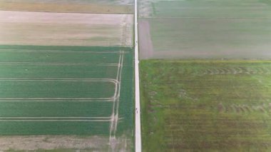 Hava aracı görüntüleri Cenevre 'yi çevreleyen kırsal arazileri gösteriyor ve tarımsal alanların simetrisini ve örüntülerini vurguluyor. Doğa ve tarımla ilgili projeler için ideal.