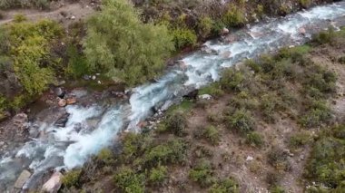 And Dağları 'ndaki yemyeşil yemyeşil çayırlarla çevrili akarsuyun yanındaki bir atın havadan görüntüsü, gerçek zamanlı olarak ele geçirildi..