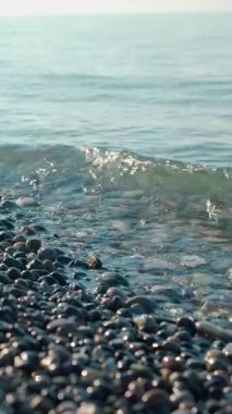 Gerçek zamanlı video, hafif dalgaları yakalıyor. Güneşli çakıl taşlı plajlara çarpıyor. Georgia sahilinin doğal hareketlerini ve rahatlatıcı seslerini sergiliyor.