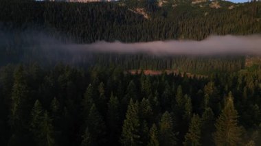 Karadağ 'ın nefes kesici hava manzarası, sakin bir orman ve sislerle kaplı bir göl gösteriyor. Sakin atmosfer, sık yeşil ağaçlar ve nazik ışıklarla vurgulanır..