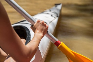 Bir insan, kanonun etrafında dalgalanmalar yaratarak, canlı bir güneş ışığı küreği kullanarak pürüzsüz sularda yüzer..