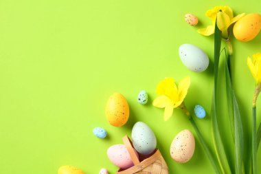 Mutlu Paskalya tebrik kartı şablonları. Renkli Paskalya yumurtaları ve yeşil zemin üzerinde sarı nergis çiçekleri olan düz bir kompozisyon..