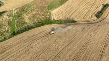Marche, İtalya 'nın pitoresk kırsalında altın buğday tarlalarını toplayan bir hava manzarası. Manzara tarımsal bolluk ve kırsal güzelliği gözler önüne seriyor