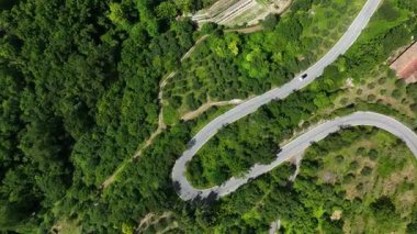 İtalya 'nın Marche kentindeki yemyeşil orman ve bitki örtüsüyle çevrili dolambaçlı bir yola yaklaşan yukarıdan aşağıya insansız hava aracı görüntüsü. Eğri yol, doğal manzarayla çelişiyor.