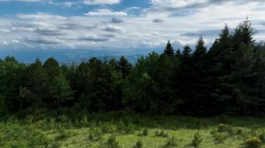 İtalya 'nın Marche bölgesindeki sarp tepeleri kaplayan yemyeşil ormanların hava manzarası. Ufuk dramatik bulutlar ve uzak dağlarla süslenir, doğanın sakin güzelliğini yakalar.
