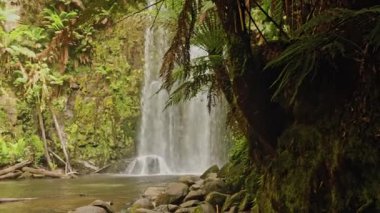 Avustralya 'daki Büyük Okyanus Yolu boyunca yemyeşil ve kayaların arasında sakin bir şelale çağlıyor. Titreyen eğrelti otları ve huzurlu ortam, doğal güzelliğin bir görüntüsünü sunuyor..